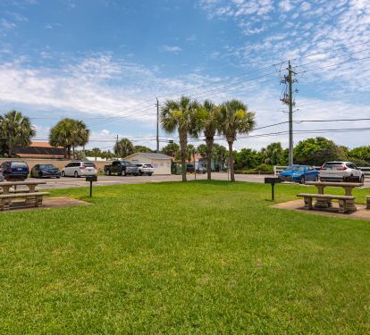Picnic / Grill Area