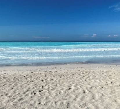 Beach View 