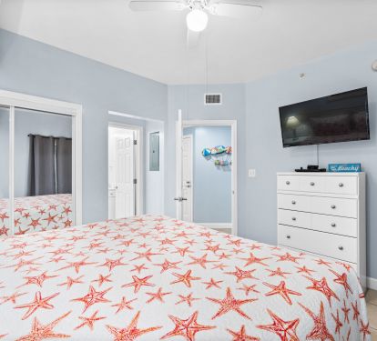 Photo #12