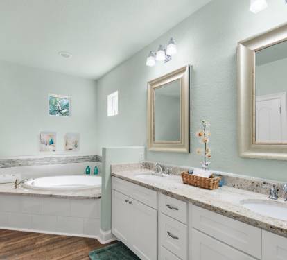 Master bathroom down stairs