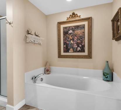 Bath Tub and Walk-In Shower in Master Bathroom