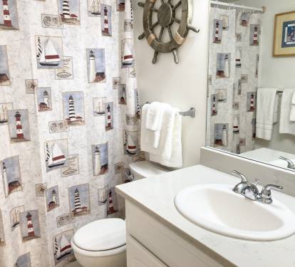 Tub and Shower Combo