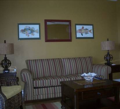 clean and comfortable living room