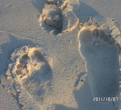 Sugar white sand.