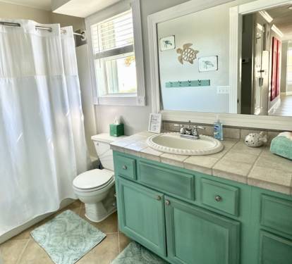 Main Floor Guest Bathroom-Tub/Shower