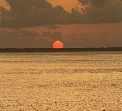 Photo #22