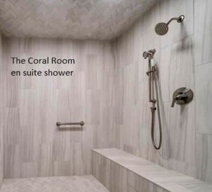 The Coral Room en suite shower  renteaglesperch.com