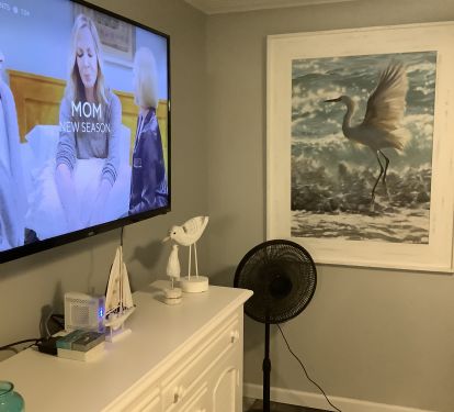 Master bedroom smart tv