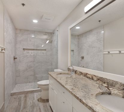 Master Bath with NEW walk-in shower