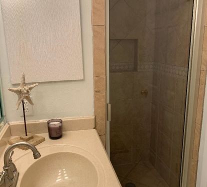 Guest Bath with Walk-in Shower