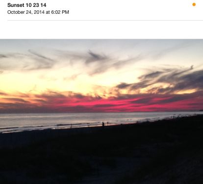 BEACHSIDE DELIGHT