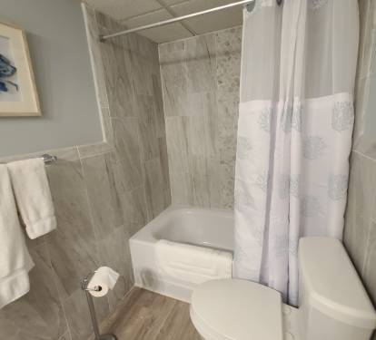 Guest/hall bath with tub/shower combo