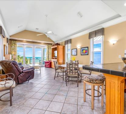 Living and Dining Room