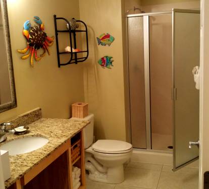 Guest bathroom with shower, granite counter.