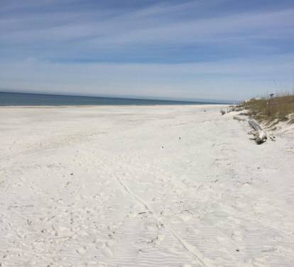 Facing North on the Beach