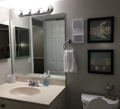 Main bathroom with walk in shower.