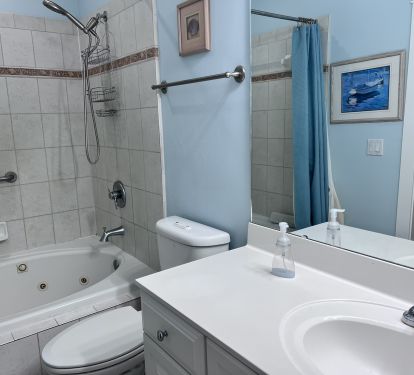 First floor master bath with Jacuzzi tub and shower