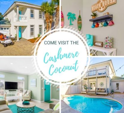 Come Visit the Cashmere Coconut 