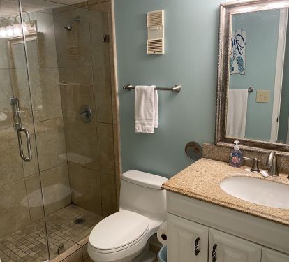 Guest Bath with Walk In Tile Shower