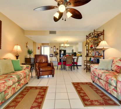 Living room/dining room/kitchen