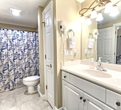 Guest Bathroom