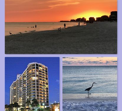Sunset on Surfside's beach; Surfside Resort; 1 of the local herons on our beach