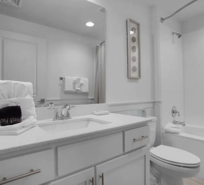 Full Bathtub/Shower Combo