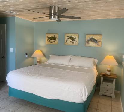King Bed in Upstairs Loft Bedroom -  overlooks Living Area