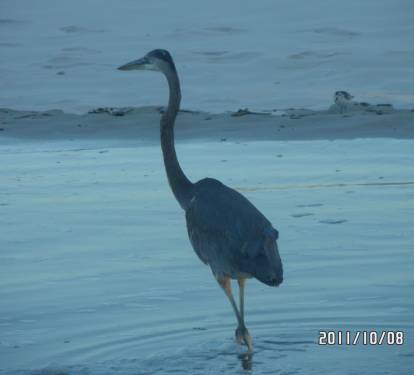 Photo #18