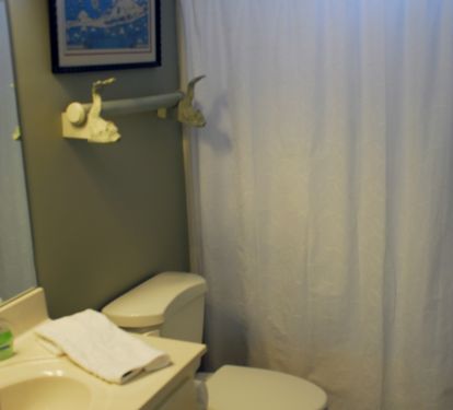Hall bathroom
