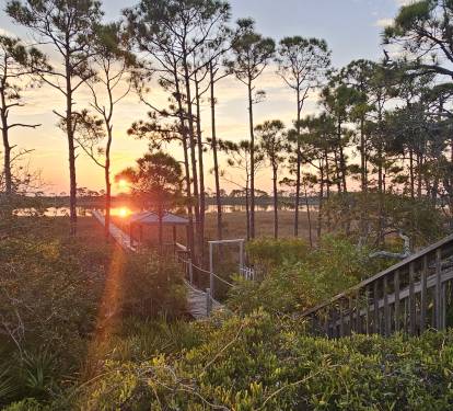 Bayside Dock Sunrise