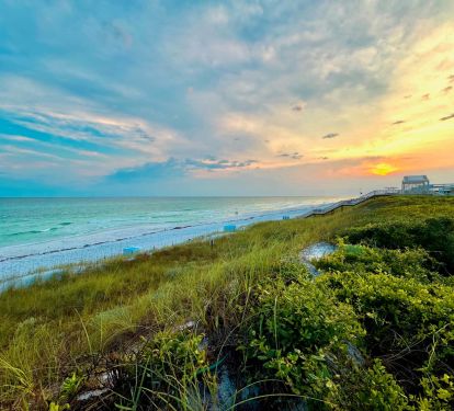 Beach Dunes View