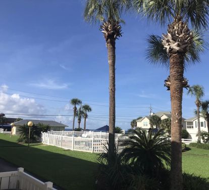 Pool and Ocean View from the patio