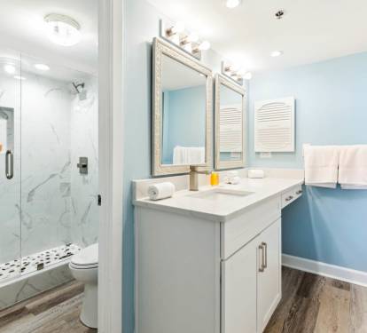 Updated master bath with walk-in shower