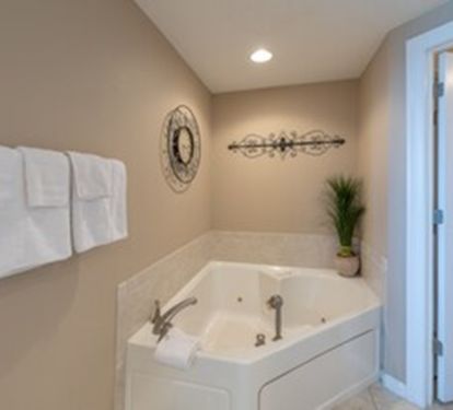 Main Bath Jacuzzi