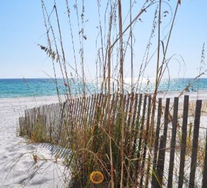 Sanddollar Townhomes, Miramar Beach, Destin Florida Pet Friendly Vacation Rentals by Sunset Resort Rentals