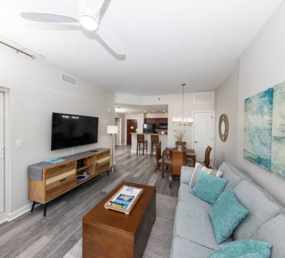 Living and dining combo area