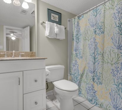 Private Master Bathroom w/ Shower Tub Combo