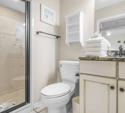 Recently Updated Second Bath in Hallway