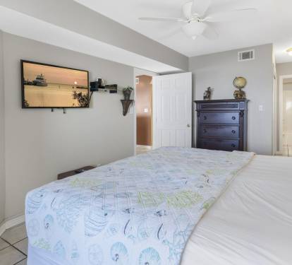 Master Bedroom w/ Flat Screen TV