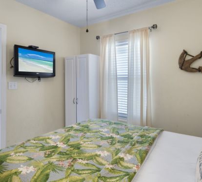 Queen Size Guest Bedroom w/Flat Screen TV