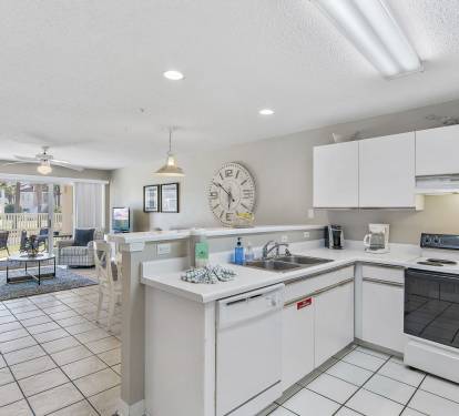 'Expansive Open-Plan Kitchen and Living Area'