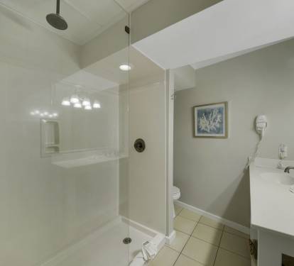 Full master bathroom