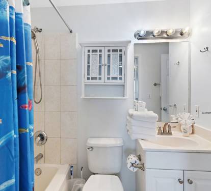 Guest Bathroom with Tub/Shower Combo