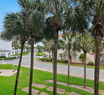 View of tropical palm trees from balcony at Maravilla 4205.