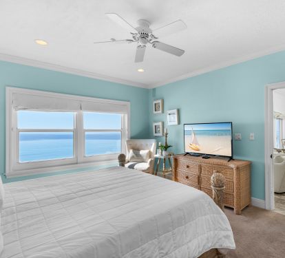 Primary Bedroom with TV