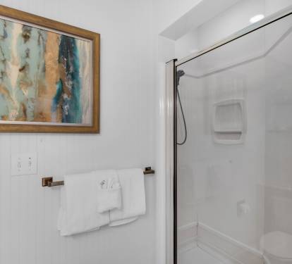 Guest Bathroom 2 with Walk-In Shower