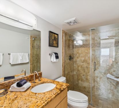 Guest bathroom with walk-in shower