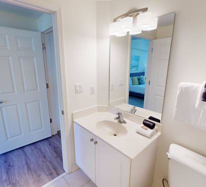 Guest Bathroom 1