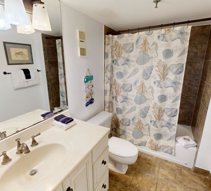 Guest Bathroom